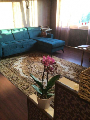 Luxurious En-suit room with Sauna in Lohkuse